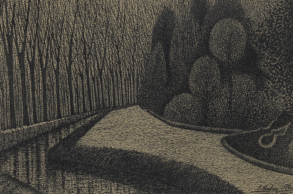 Camí nocturn entre arbres densos il·luminat per lluna, en blanc i negre amb tramat fi.