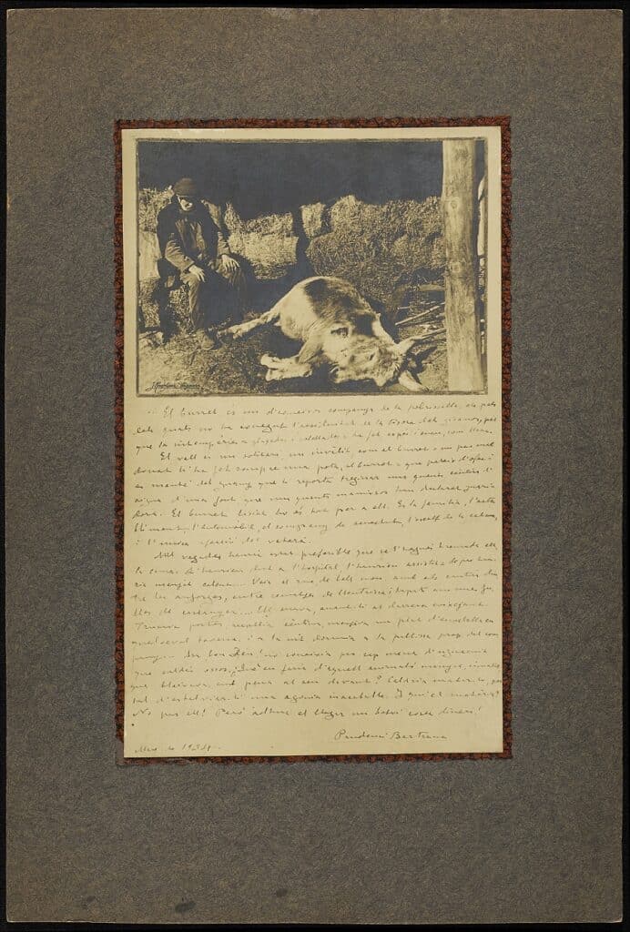 Fotografia antiga muntada sobre paper amb text manuscrit extens, mostra un home amb un ruc estirat en entorn rural
