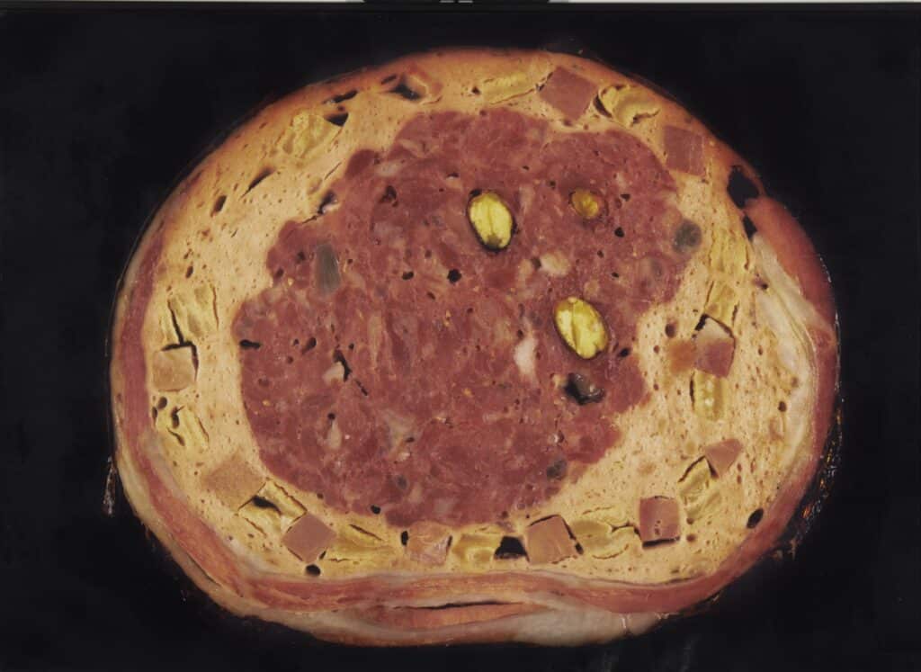 Tall transversal d'embotit tipus mortadel·la amb carn rosada, greix groguenc i festucs verds, sobre fons negre