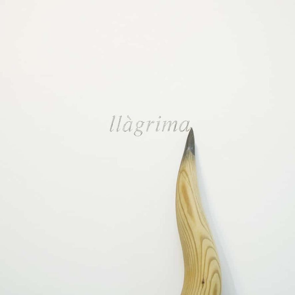 Ricard Aymar. Llàgrima, 2008 (detall)