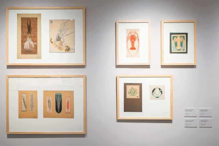 20251129_EX_Francista Rius_17