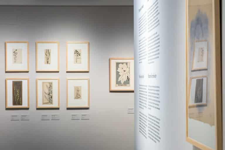 20251129_EX_Francista Rius_28