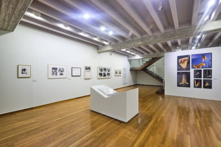 Exposició 70’s-90’s diari AVUI.