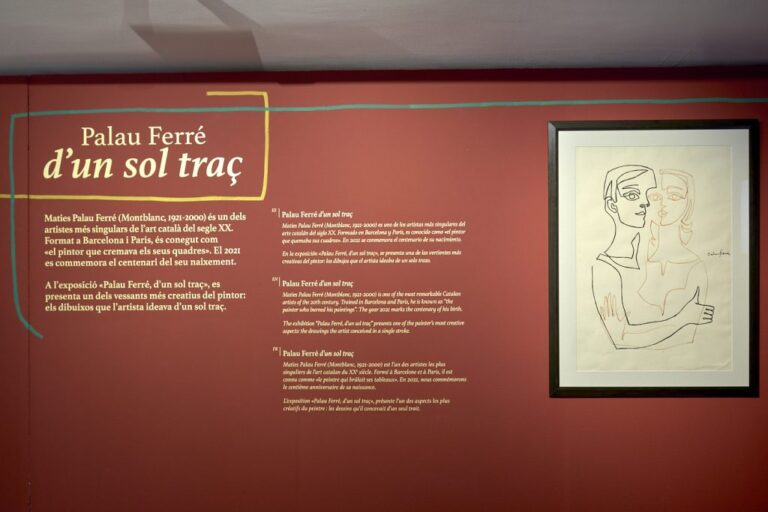 Exposició Palau Ferrer, d'un sol traç
