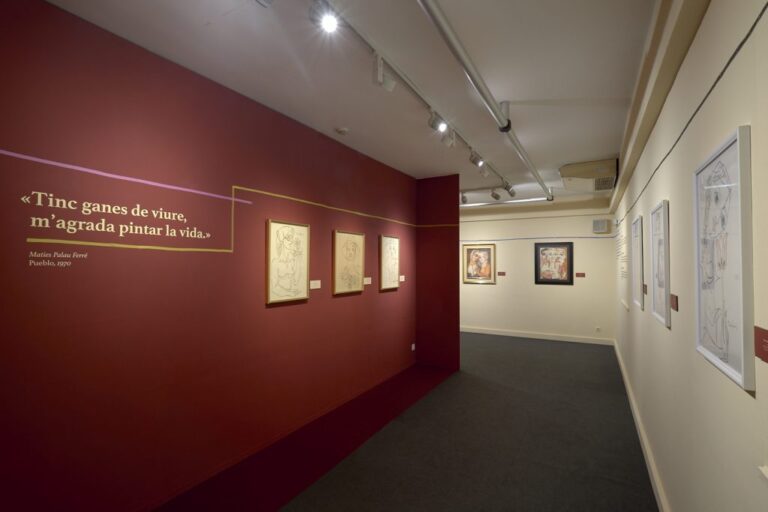 Exposició Palau Ferrer, d'un sol traç