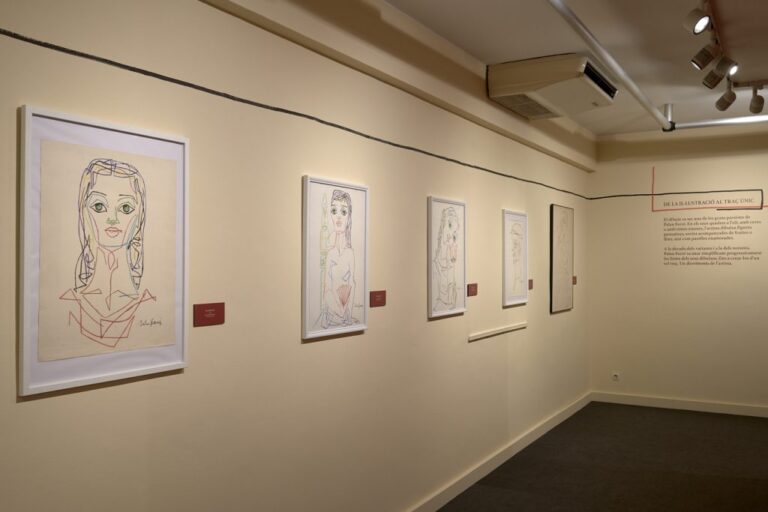 Exposició Palau Ferrer, d'un sol traç