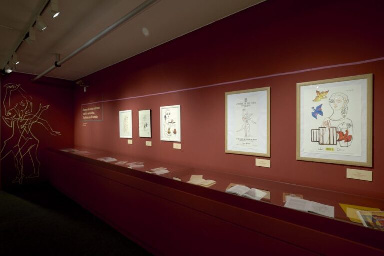 Exposició Palau Ferrer, d'un sol traç